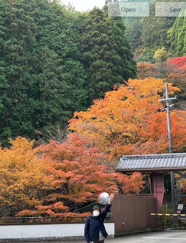 ファン第一号の仲良しさんと、京都へ紅葉を観に行ってきました！